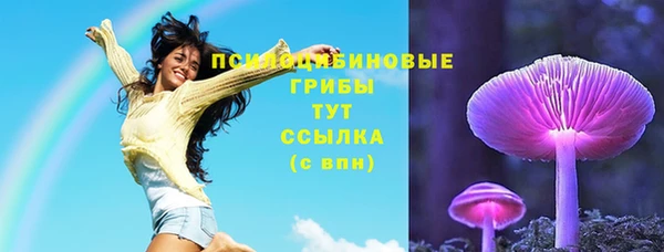 apvp Киреевск